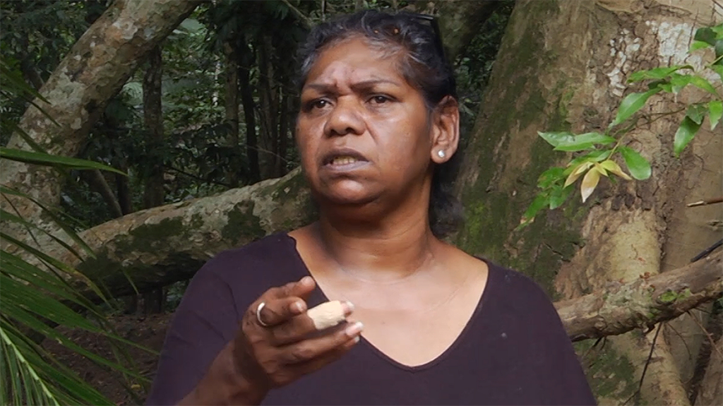 Nola's Story - Risk factors